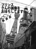 仙台市青葉区のプリンス