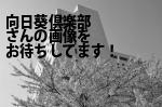 仙台市青葉区の向日葵倶楽部